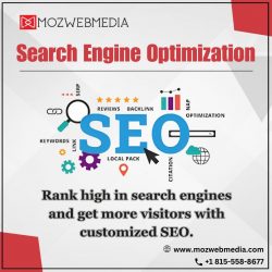 Search Engine Optimization in Chicago – Moz Web Media
