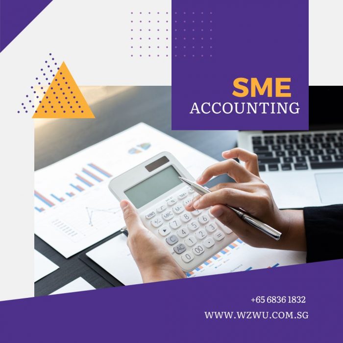 Master Your Finances with WZWU’s SME Accounting