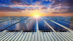 Electrical Express – The Leading Solar Panels Provider in Sydney