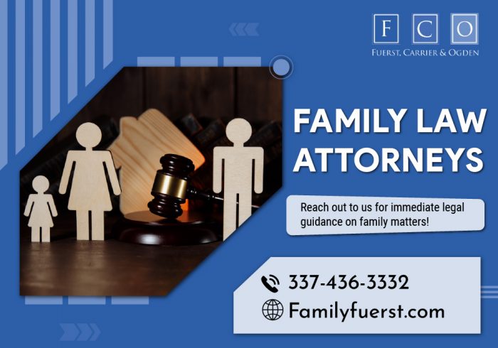 Solutions for Family Legal Challenges