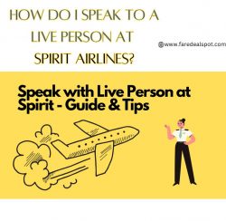 How to Talk to a Live Person on Spirit Airlines ?