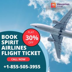 Spirit Airlines Flight| VaccationTravel