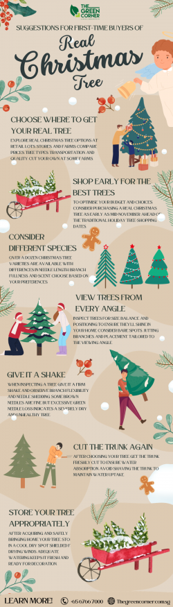 Tips for Buying a Real Christmas Tree in Singapore – The Green Corner