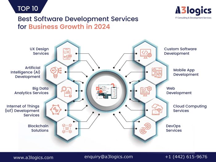 Maximize Your Potential with These 10 Software Development Services in 2024
