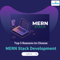 Top 5 Reasons to Choose MERN Stack Development for Your Company