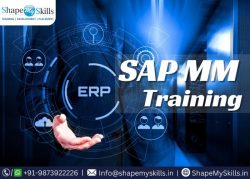 Top SAP MM Training Noida at ShapeMySkills