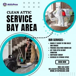 Elevate Your Living Standards with Clean Attic Service in the Bay Area