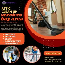 Bay Area’s Finest Attic Clean-Up Services: Unleash the Potential of Your Space
