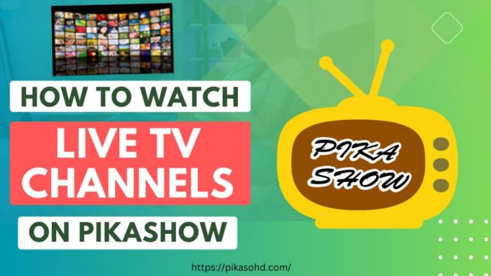 Use Pikashow To Watch TV Channels