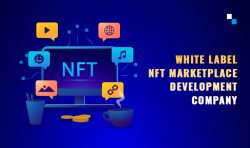 Rarible-inspired White Label NFT Marketplace Development Company