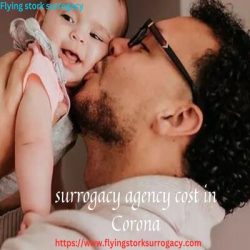 Choose the Right Surrogacy Agency Cost In Corona, California