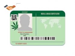 Utah Medical Cannabis Card.