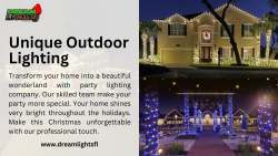 Elevate Your Outdoor Experience: DreamLightsFL’s Unique Lighting Transformations