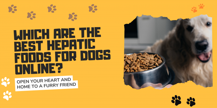 Which Are The Best Hepatic Foods for Dogs Online?