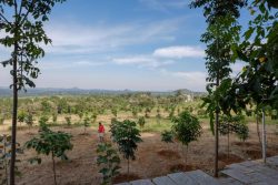 Green Acres at Anugraha Farms: Farm Land for Sale in Hosur’s Best Location.