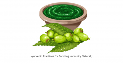 Ayurvedic Practices for Boosting Immunity Naturally