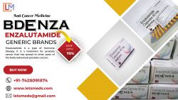 Get Wholesale Prices on Bdenza Enzalutamide Capsules from LetsMeds