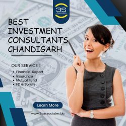 Best Investment Consultants in Chandigarh