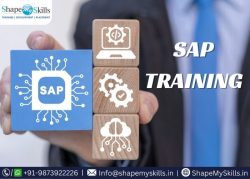Best SAP Course Training in Noida at ShapeMySkills