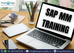 Best SAP MM Training in Noida at ShapeMySkills