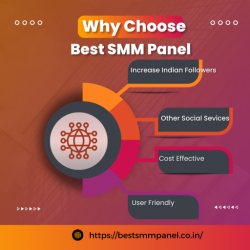 Why Choose Best SMM Panel to grow social media fast