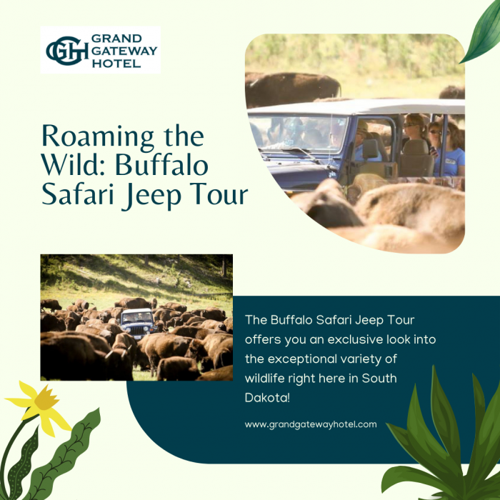 Roaming the Wild: Buffalo Safari Jeep Tour