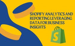 Shopify Analytics and Reporting Leveraging Data for Business Insights