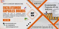 Seamless Access and Delivery Services Worldwide for Indian Enzalutamide 40mg