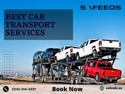 Safeeds Transport Inc | Your Partner for Reliable Car Transport Solutions