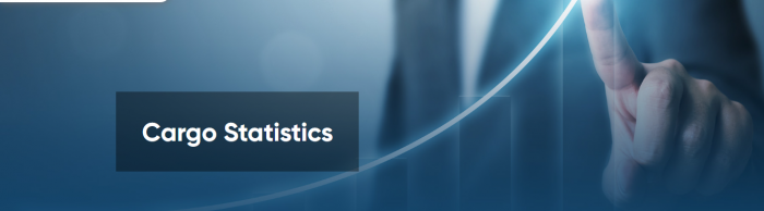 Cargo Statistics
