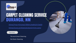 Carpet Cleaning Service Durango, NM
