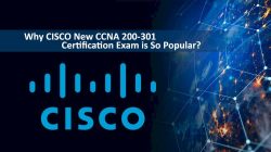 Get Certified with CCNA Online Training in Pune