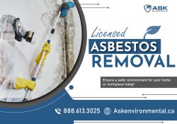 Certified Asbestos Abatement Services