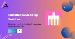 Clean QuickBooks Accounting