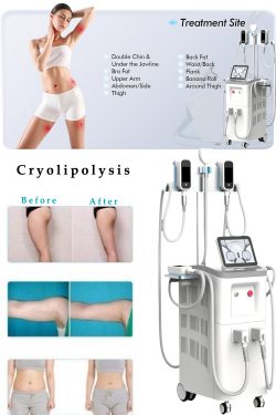 China cryolipolysis machine manufacturer-BVLASER. Cryolipolysis fat freeze slimming machine FDA  ...