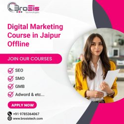 Best Offline Digital marketing Course in Jaipur