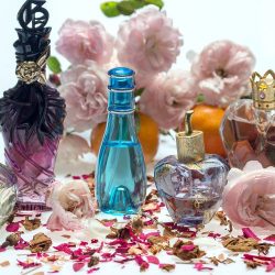 Take advantage of our Free Perfume Samples