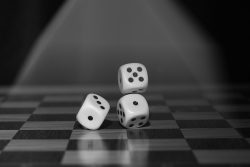Insights and strategies