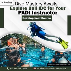 Dive Mastery Awaits- Explore Bali IDC for Your PADI Instructor Development Course