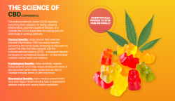 Top 28 Strategies To Become A Green Vibe Cbd Gummies Expert Today