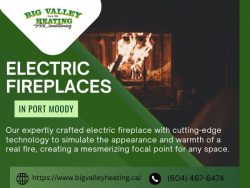 Electric Fireplaces in Port Moody