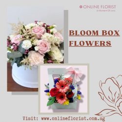 Elevate Your Gift Giving with Bloom Box Flowers