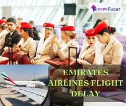 Emirates Airlines Flight Delay