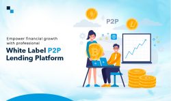 Transforming fintech industry with a white label P2P lending platform