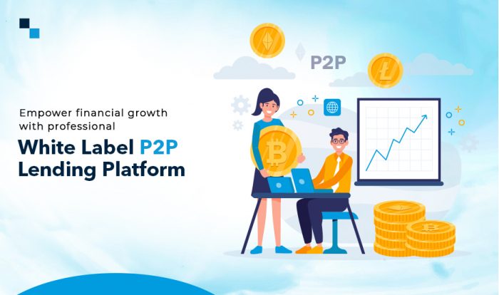 Transforming fintech industry with a white label P2P lending platform