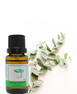 Eucalyptus (Globulus) Organic Essential Oil