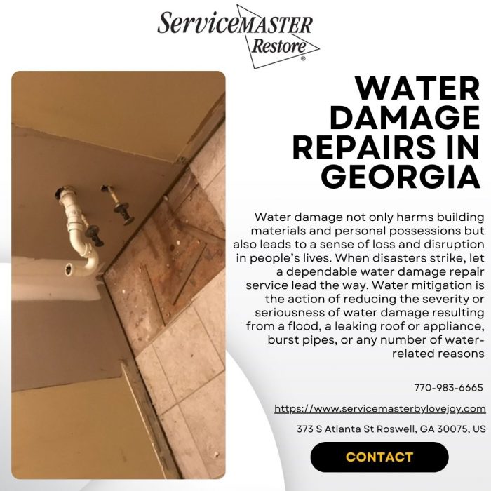Expert Water Damage Repairs in Georgia