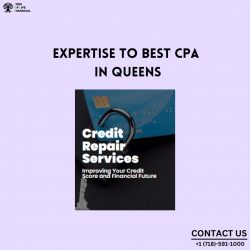 Expertise to Best CPA in Queens