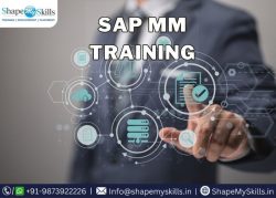 Expert-Led SAP MM Training in Noida at ShapeMySkills