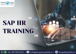 Explore Opportunities with SAP HR Training in Noida at ShapeMySkills